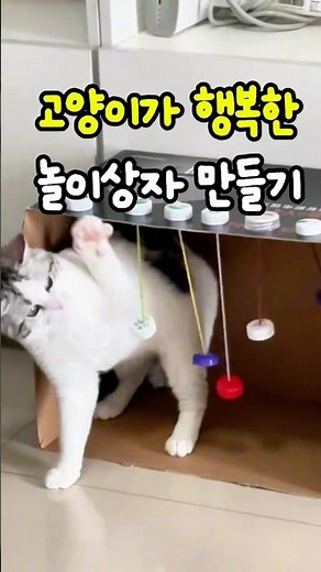 고양이 놀이상자 애착 장난감 만들기 #고양이장난감 #고양이놀이터 #고양이놀아주기 #박스활용법