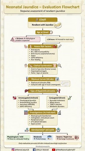 Neonatal Jaundice Evaluation Made Easy 🍼 | Pediatrics & Nursing Exams