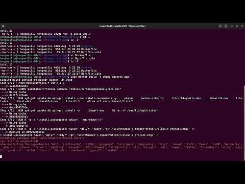 How to deploy Shinyproxy and shiny app to AWS EC2