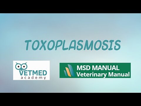 Toxoplasmosis