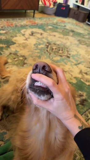 Unveiling the Mystery: Finding Courtney's Birthday