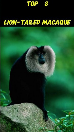 Top 10 endangered Animals of India 🇮🇳 #trending #knoweledgefacts #viral #facts #india #animals