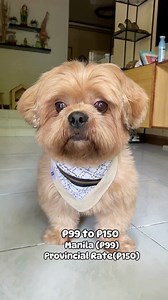 6K views · 5.4K reactions | Nandito na yung FREE pedigree sample kit ! Ganito lang kadali mag-redeem. Visit https://pedigreeclub.ph/pages/user-sample-form-puppy-and-adult to redeem your sampling kit. #PedigreePH #PedigreeClubPH | Snow, Winter and Friends | Facebook