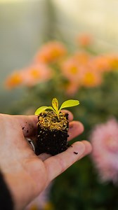 The Bloom & Gray 112 soil blocker is available to pre-order now on my website. I’m so excited to get the first batch out to everyone 🎉 🌱 #gardening #growingflowers #flowerfarmjng #marketgardening #marketgarden #growingveg | Bloom & Gray
