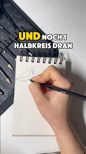 Vogel aus Strich zeichnen lernen 🐦 #vogel #einfachzeichnen #zeichnen #anfänger #zeichnenlernen