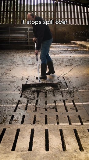 Farm cleaning doesn’t need to be slow or frustrating. The JEPS Farmsafe Super Scrape makes barn and slat cleaning faster, easier, and more efficient with its smart winged design. ✅ 90° edge prevents messy spillover ✅ Strong aluminium shaft for durability ✅ Available in 3 practical sizes Why keep wasting time? Upgrade today and clean smarter. 👉 Order now: https://jepsfarmsafe.com/product/super-scrape-manure-scraper-yard-squeegee/ | Jeps Farm Safe Ltd