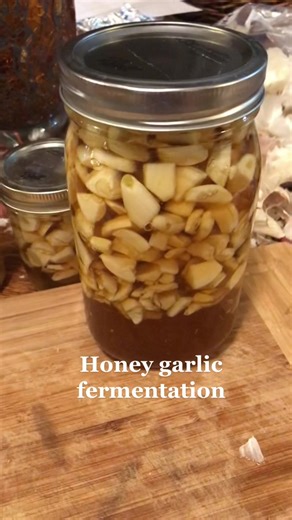 Honey garlic fermentation #prepper #Avalonunitygarden #Healing #Herbal #DIY #StayHealthy #immuneboosters