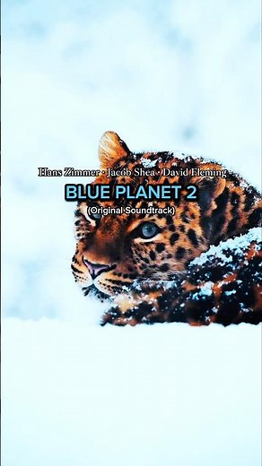 The Blue Planet 2 · Jacob Shea · Hans Zimmer · David Fleming (Original Soundtrack) Video by V.S.