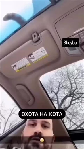 bro captured a cat 🙏😭#CapCut #fyp #catsoftiktok #car#funnytiktok #foryoupage❤️❤️ #foryoupagе #pourtoii #pourtoi