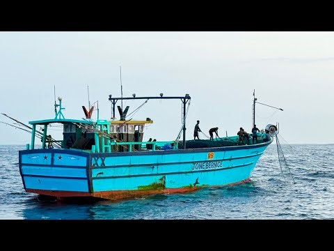 7 Days Of Non Stop Fishing!! Gill Net Fishing!! Monster Caught Scenes!!