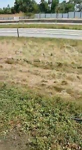 BREAKING NEWS ACCIDENT ALERT BEFORE FREEPORT NORTHBOUND. | TT Talk