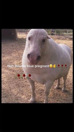 #japan is implementing "piezoelectric" flooring tiles to convert footsteps into electricity!! #japan