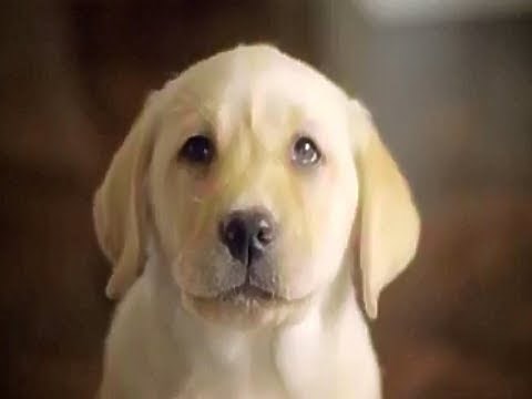 Kleenex Cottonelle Toilet Tissue There's Care In Every Square 2010 TV Commercial HD