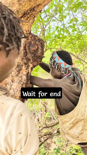 Traditional Honey Hunting by African Tribes | Ancestral Survival Skills #villagelife #shortvideo