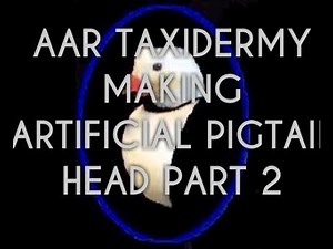 AAR Taxidermy artificial Bird Duck Head Pintail Resin Smooth Cast Mckenzie