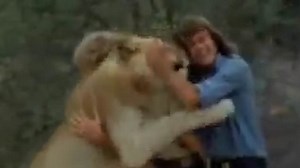 Moment Christian the lion reunites with John and Ace in Kenya