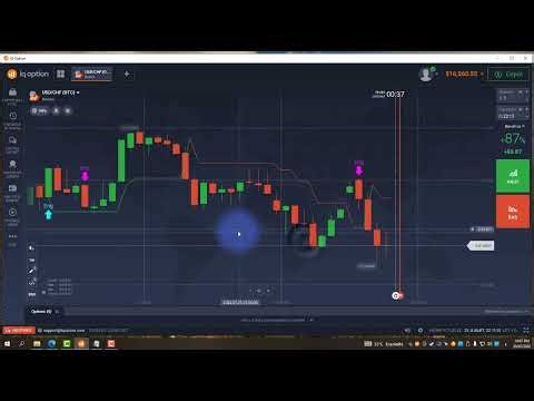 script iq option 2022