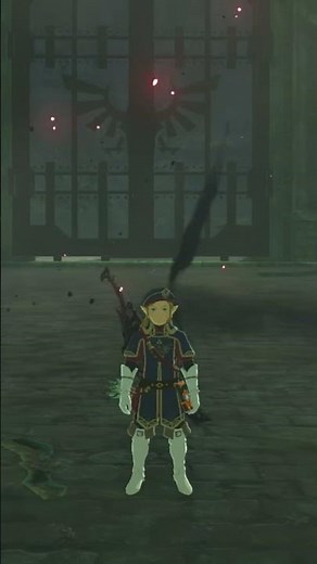 Best Botw Armor and Weapon combos pt2 #botwshorts #zelda #nintendo #totk #videogames #videogames