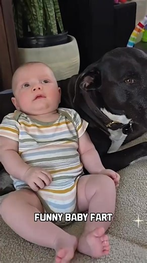 Poor Little Kid's poops Funny Reaction pooping 😂💩💨🤑 #reelsfbシ #reelsviralシfb #LikeFollowShare #poops #StarSender #loveyou #pooping #cute #baby | Cute Kids