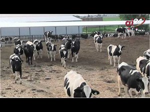 Semex Alliance - AI24.mov