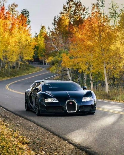 lamborghini VS Bugatti. who is fast ⏩