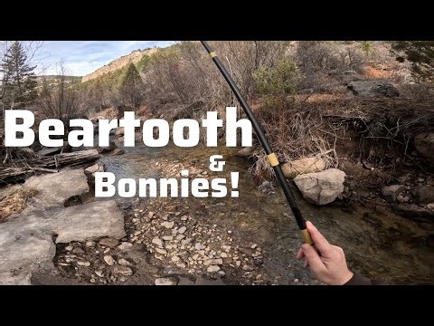 BEARTOOTH AND BONNIES! #tenkaraflyfishing