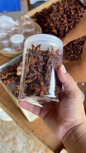 China Red Star Anise exporter.#food #satisfying