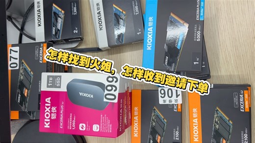 铠侠RC20 SD10 SF10 SE10 XD20 VD10 VE10-固态工作室火姐