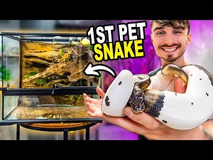Building Epic Enclosure For My First Snake!