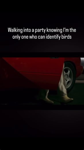 Berd Nird on Instagram: "It’s a super talent and everyone is about to show you bird photos and ask you what bird it is 😂 #birds #nature #birdlovers #birdwatcher #birding"