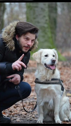 A Triumph of Surgery Summary | Animated English Story | Class 10 English