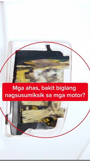 Mga ahas, bakit biglang nagsusumiksik sa mga motor? #KMJS
