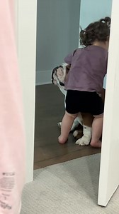 Trying to move her 65 pound bulldog lol #toddler #firsttimemom #parenting #englishbulldog #baby #bulldog #puppy #fyp #mom #dog #austin #atx #bully #mama #texas #pet #motherhood #family | Ros Iv