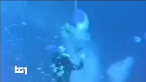 3K views · 47 reactions | #Accaddeoggi 13 novembre 2016, muore Enzo...