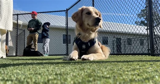 Big Dog Ranch Rescue opens massive facility to triple veteran service dog program