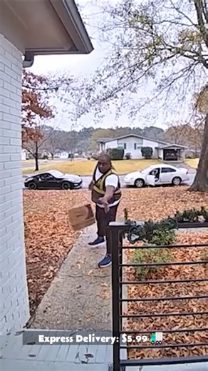 Funny Delivery Fails – Careless Package Moments