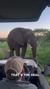 🇿🇦 10 DAYS OF EPIC ADVENTURE IN SOUTH AFRICA Wildlife. Wine. Coastlines. Culture. 🔥🌍 Day 1 – Arrival in Cape Town Meet & greet, sunset at V&A Waterfront with Table Mountain views. Day 2 – Cape Town Icons Table Mountain cableway, Bo-Kaap colors, Camps Bay beach & city vibes. Day 3 – Cape Peninsula Adventure Chapman’s Peak Drive, Cape of Good Hope, penguins at Boulders Beach 🐧 Day 4 – Winelands Escape Stellenbosch & Franschhoek wine tasting, scenic tram ride & gourmet lunch 🍷 Day 5 – Cape To