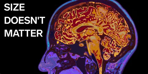 Neurologists debunk 11 common myths about the brain