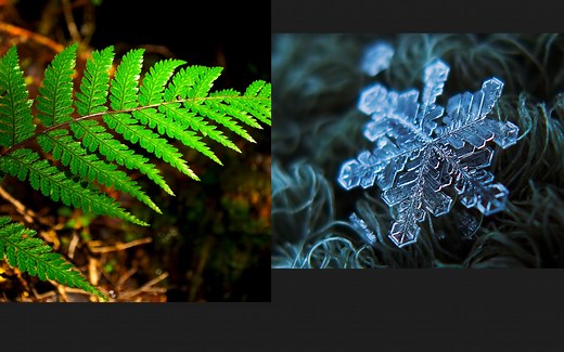 【知识科普】什么是分形 （Fractal)?