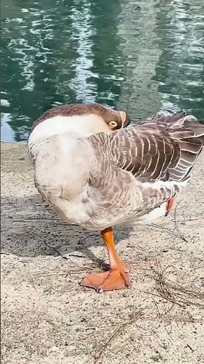 This L.A. Park is a Hidden Gem Full of Surprises | SoCal Wanderer