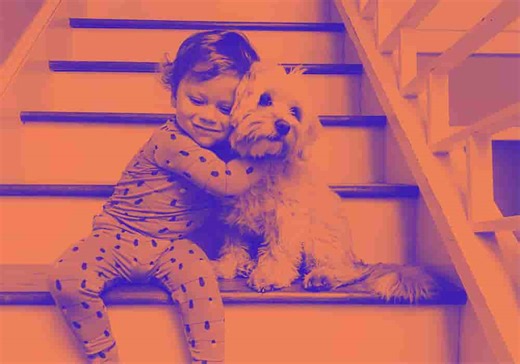 Dog, Boy, And Other Words With Unknown Origins