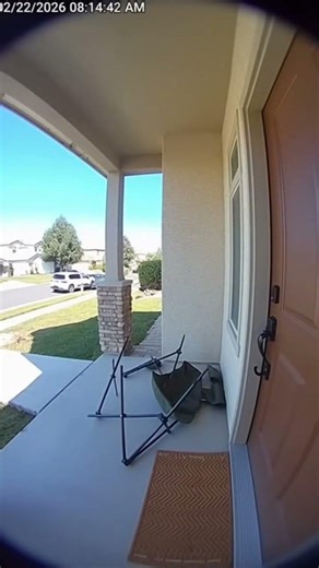 POV: that chair was not rated for him