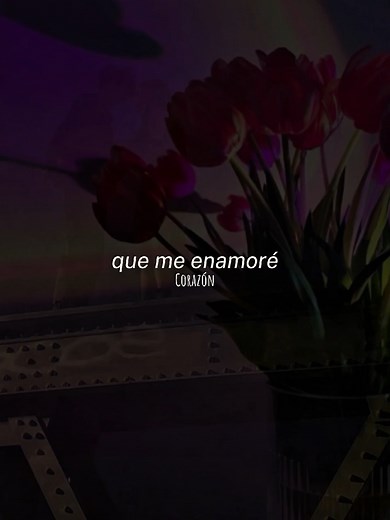 Corazón de Danny Ocean: Pop y Amor en Cada Letra