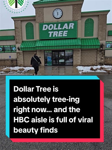 Discover Viral Beauty Finds at Dollar Tree on a Cold Day
