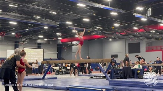 16 reactions | Congratulations to our XCEL Silver and Gold teams for their amazing performances at the USAG State Championships in Gainesville! | U.S. Gold Gymnastics and Cheerleading Academy | Facebook