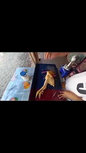 Creating a Chicken's Skeletal System: An Artistic Approach