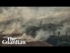 Aerial footage shows fires raging in parts of Brazil's Amazon rainforest