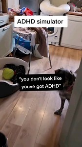 dont worry the house does get full on super clean and tidy whenever I have a crazy panic clean just before someone comes to visit. otherwise I WANT to clean and tidy but often CAN'T. And I hope showing you this makes you feel less alone or at least makes you feel better🥰🫂 #adhdsimulator #adhdbrainbelike #adhdhouse #adhdsounds #adhd #neurodivergent #adhdmom #cherryadhd | Cherry ADHD