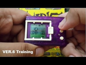 Digimon Vpet FULL GUIDE and REVIEW [US and JPN]