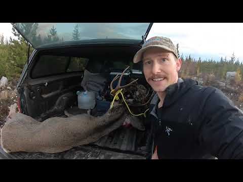 Big Buck Down - Solo Deer Hunting in British Columbia- October 2019 (Catch,Clean,Cook)